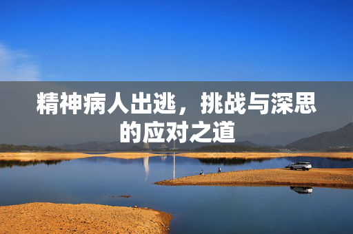 精神病人出逃，挑战与深思的应对之道