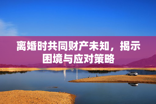 离婚时共同财产未知，揭示困境与应对策略