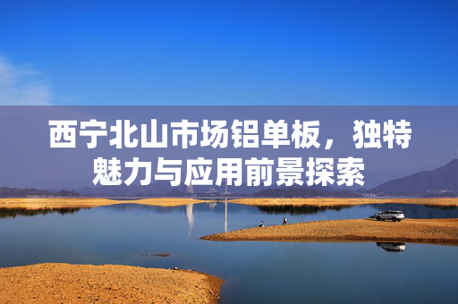 西宁北山市场铝单板，独特魅力与应用前景探索