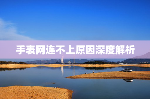 手表网连不上原因深度解析