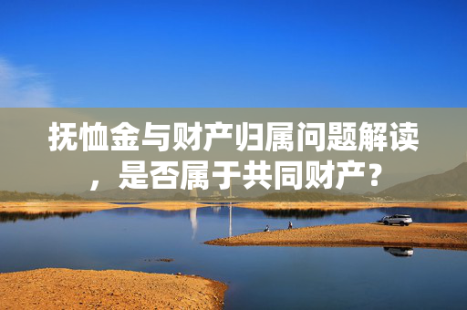 抚恤金与财产归属问题解读，是否属于共同财产？