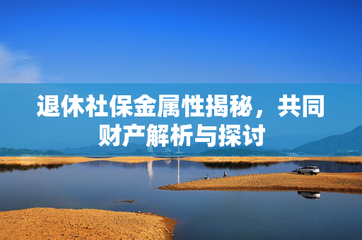 退休社保金属性揭秘，共同财产解析与探讨
