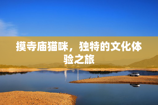 摸寺庙猫咪，独特的文化体验之旅