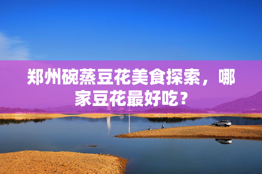 郑州碗蒸豆花美食探索，哪家豆花最好吃？