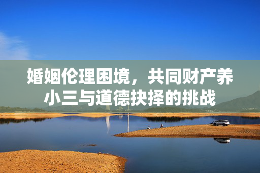 婚姻伦理困境，共同财产养小三与道德抉择的挑战