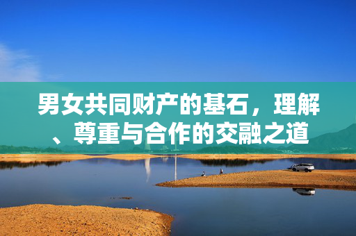 男女共同财产的基石，理解、尊重与合作的交融之道