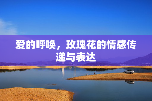 爱的呼唤，玫瑰花的情感传递与表达