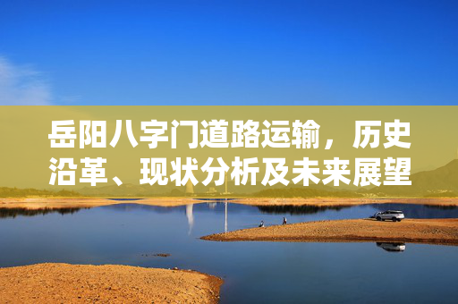 岳阳八字门道路运输，历史沿革、现状分析及未来展望