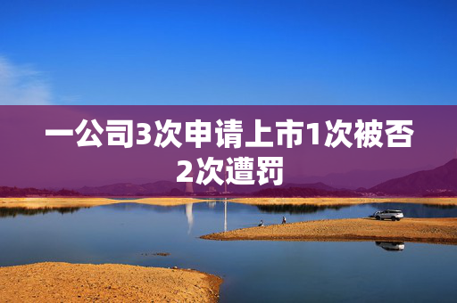 一公司3次申请上市1次被否2次遭罚