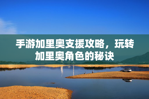 手游加里奥支援攻略，玩转加里奥角色的秘诀