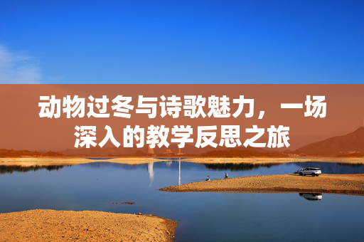 动物过冬与诗歌魅力，一场深入的教学反思之旅