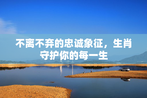 不离不弃的忠诚象征，生肖守护你的每一生