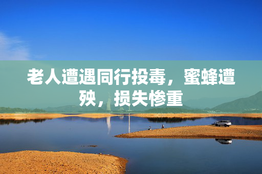 老人遭遇同行投毒，蜜蜂遭殃，损失惨重