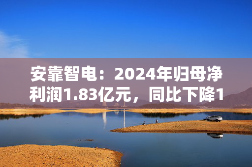 安靠智电：2024年归母净利润1.83亿元，同比下降10.5%