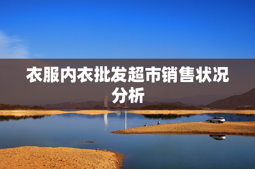 衣服内衣批发超市销售状况分析