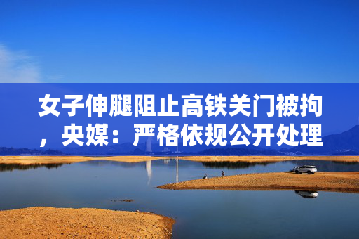 女子伸腿阻止高铁关门被拘，央媒：严格依规公开处理以儆效尤