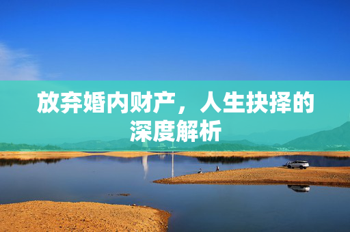 放弃婚内财产，人生抉择的深度解析