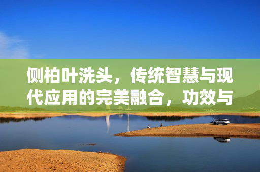 侧柏叶洗头，传统智慧与现代应用的完美融合，功效与作用解析