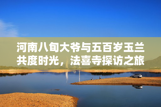 河南八旬大爷与五百岁玉兰共度时光，法喜寺探访之旅