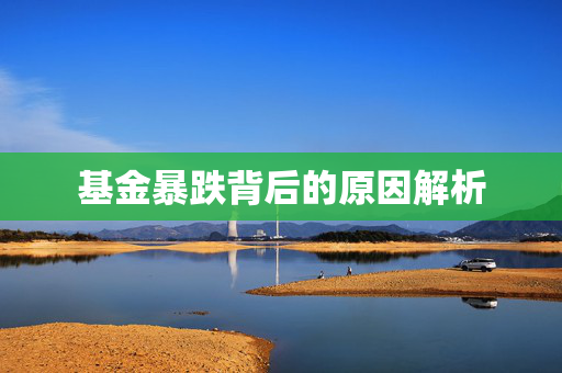 基金暴跌背后的原因解析