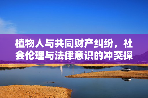 植物人与共同财产纠纷，社会伦理与法律意识的冲突探究