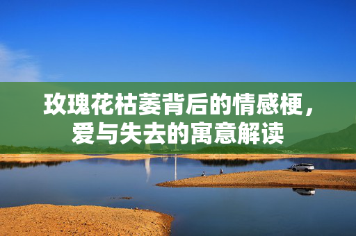 玫瑰花枯萎背后的情感梗，爱与失去的寓意解读