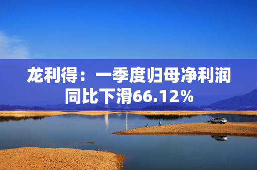 龙利得：一季度归母净利润同比下滑66.12%