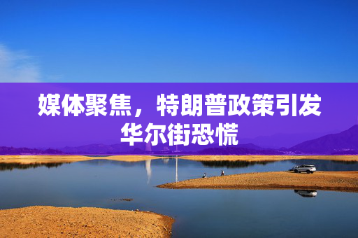 媒体聚焦，特朗普政策引发华尔街恐慌