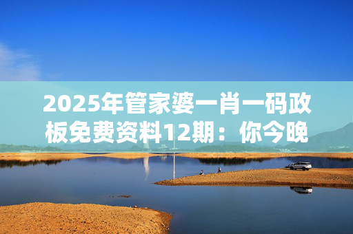 2025年管家婆一肖一码政板免费资料12期：你今晚要去看电影吗？
