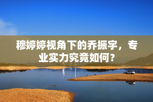 穆婷婷视角下的乔振宇，专业实力究竟如何？