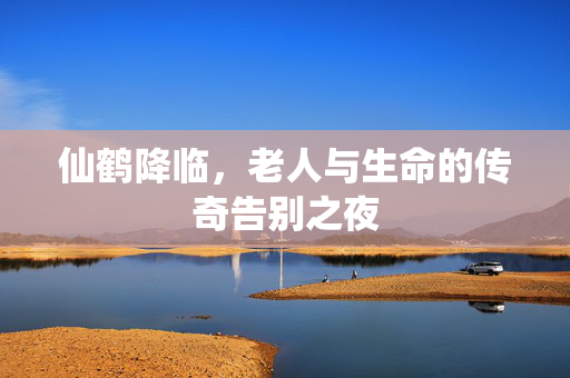 仙鹤降临，老人与生命的传奇告别之夜