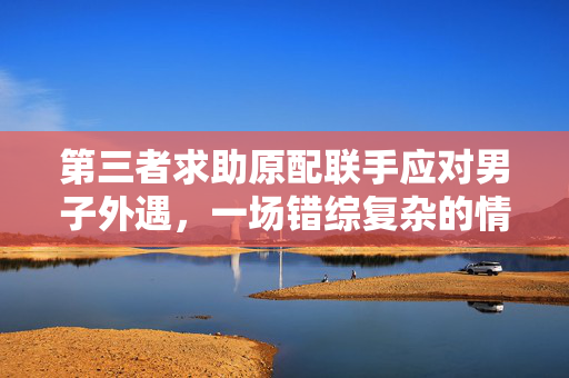 第三者求助原配联手应对男子外遇，一场错综复杂的情感纷争