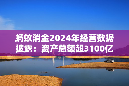 蚂蚁消金2024年经营数据披露：资产总额超3100亿，实现净利润30.51亿元