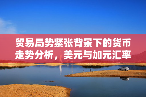 贸易局势紧张背景下的货币走势分析，美元与加元汇率动态观察