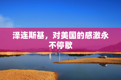 泽连斯基，对美国的感激永不停歇