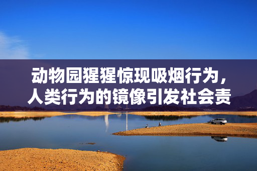 动物园猩猩惊现吸烟行为，人类行为的镜像引发社会责任思考