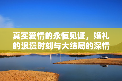 真实爱情的永恒见证，婚礼的浪漫时刻与大结局的深情告白