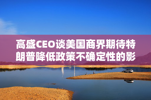 高盛CEO谈美国商界期待特朗普降低政策不确定性的影响与策略
