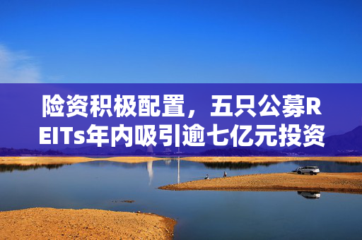 险资积极配置，五只公募REITs年内吸引逾七亿元投资