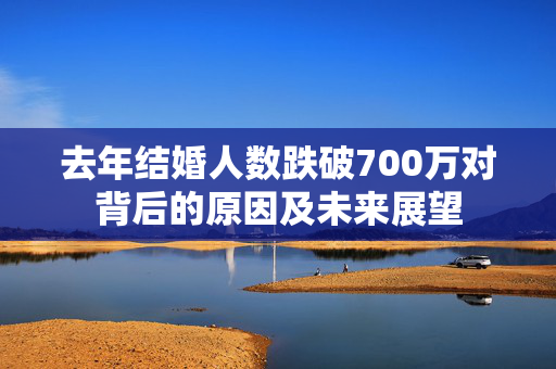 去年结婚人数跌破700万对背后的原因及未来展望