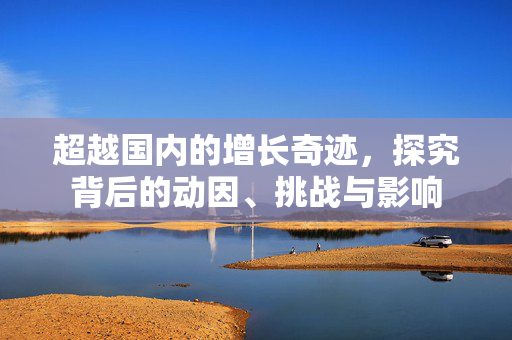 超越国内的增长奇迹，探究背后的动因、挑战与影响