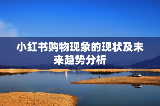 小红书购物现象的现状及未来趋势分析