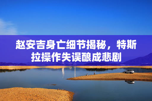 赵安吉身亡细节揭秘，特斯拉操作失误酿成悲剧