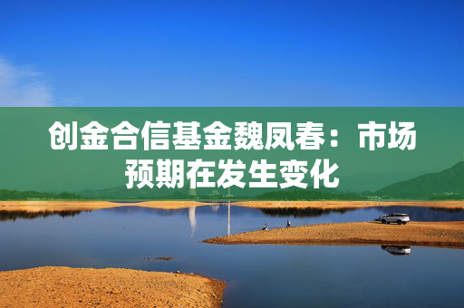 创金合信基金魏凤春：市场预期在发生变化