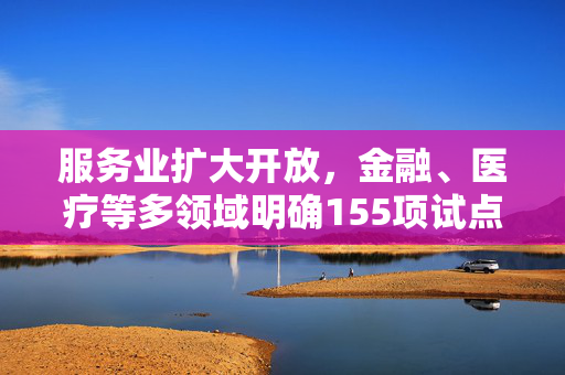 服务业扩大开放，金融、医疗等多领域明确155项试点任务