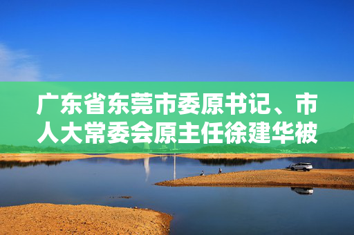 广东省东莞市委原书记、市人大常委会原主任徐建华被开除党籍
