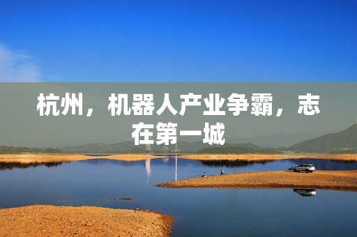 杭州，机器人产业争霸，志在第一城
