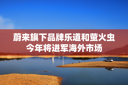 蔚来旗下品牌乐道和萤火虫今年将进军海外市场