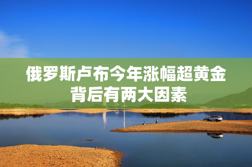 俄罗斯卢布今年涨幅超黄金 背后有两大因素