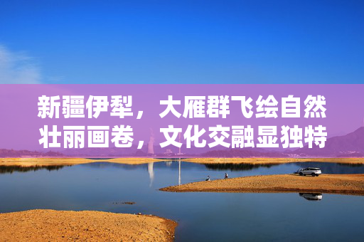 新疆伊犁，大雁群飞绘自然壮丽画卷，文化交融显独特魅力